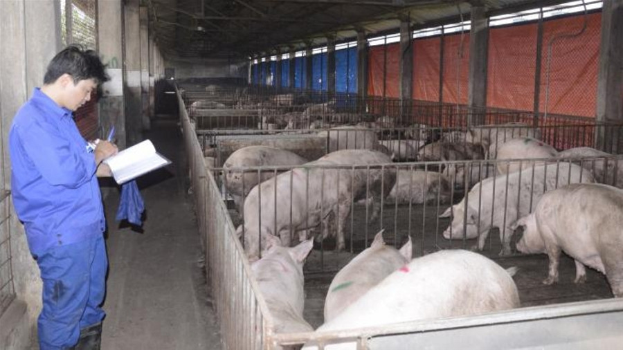 Công ty TNHH một thành viên Giống gia súc Hải Dương kiến nghị dừng sản xuất, kinh doanh có điều kiện